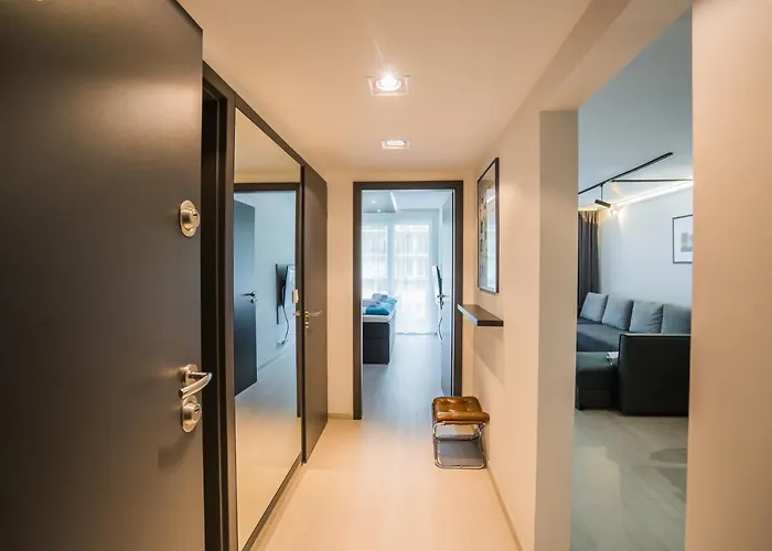 Myflat B-lake Silver